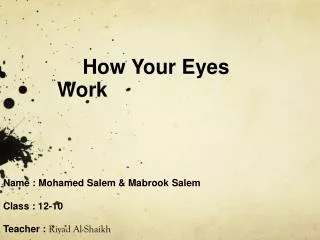 How Your Eyes Work