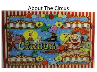 About The Circus