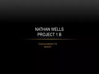 Nathan Wells Project 1 B
