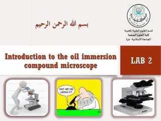 Purpose of microscope