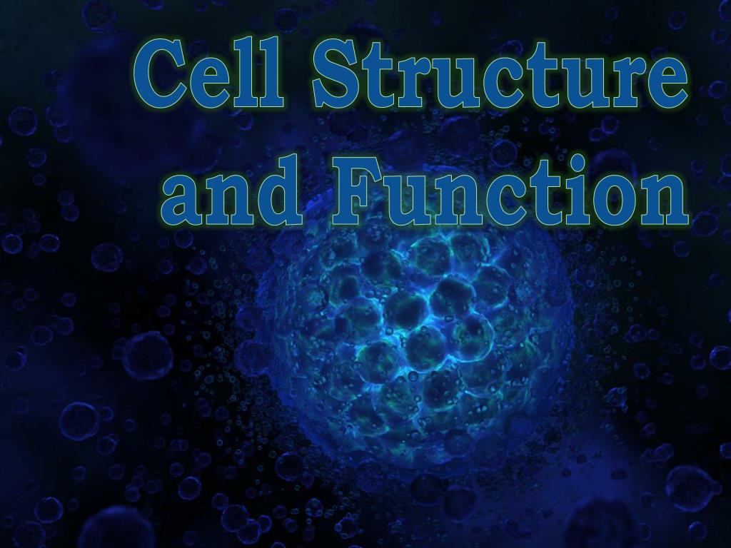 PPT - Cell Structure and Function PowerPoint Presentation, free ...