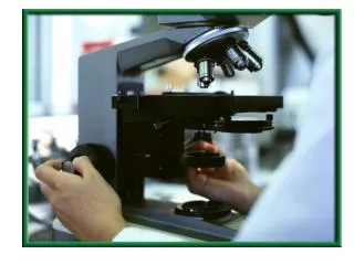 Microscope Care and Use