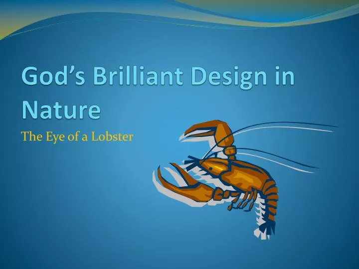 god s brilliant design in nature