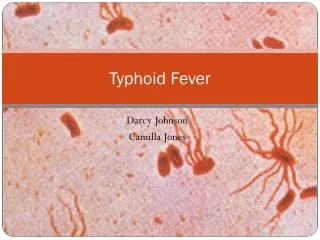 Typhoid Fever