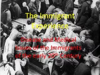 The Immigrant Experience