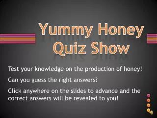 Yummy Honey Quiz Show