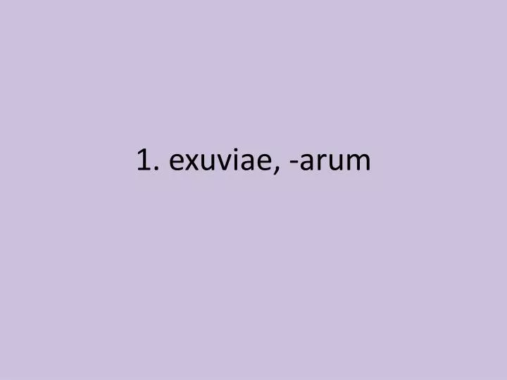 1 exuviae arum