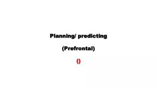 Planning/ predicting (Prefrontal) ()