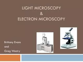 Light Microscopy &amp; Electron Microscopy