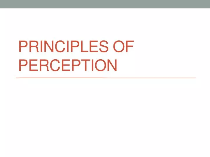 principles of perception