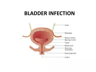 BLADDER INFECTION