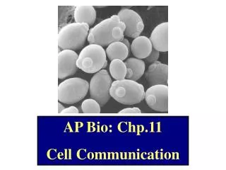 AP Bio: Chp.11 Cell Communication
