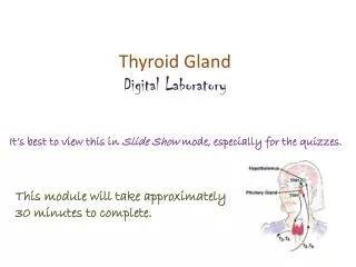 Thyroid Gland Digital Laboratory