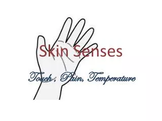 Skin Senses