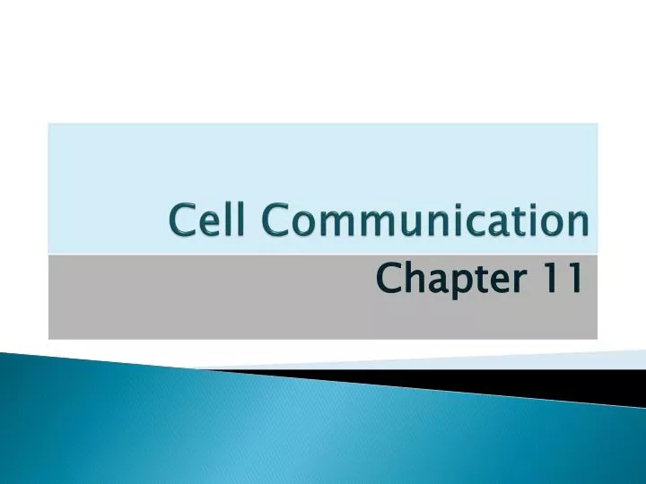 cell communication