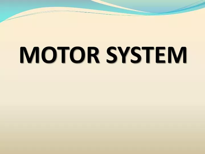 motor system