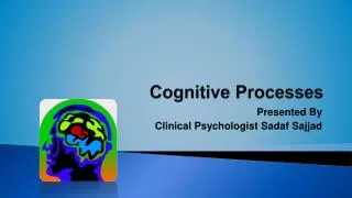 Cognitive Processes