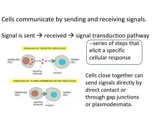Cells communicate by sending and receiving signals.