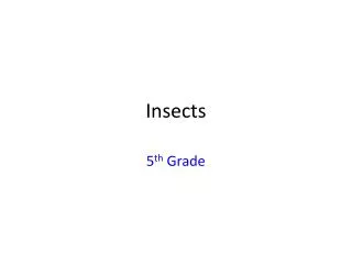 Insects