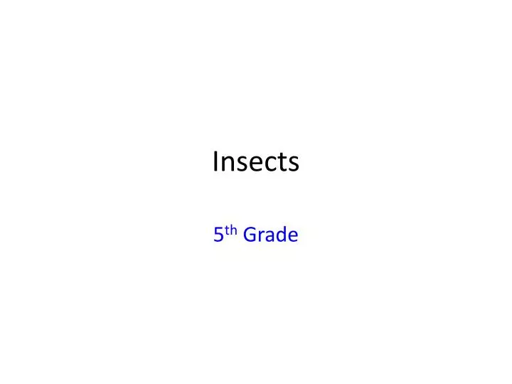 insects