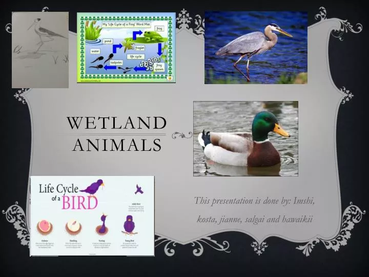 wetland animals