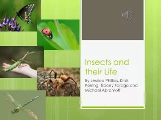 Insects and their Life