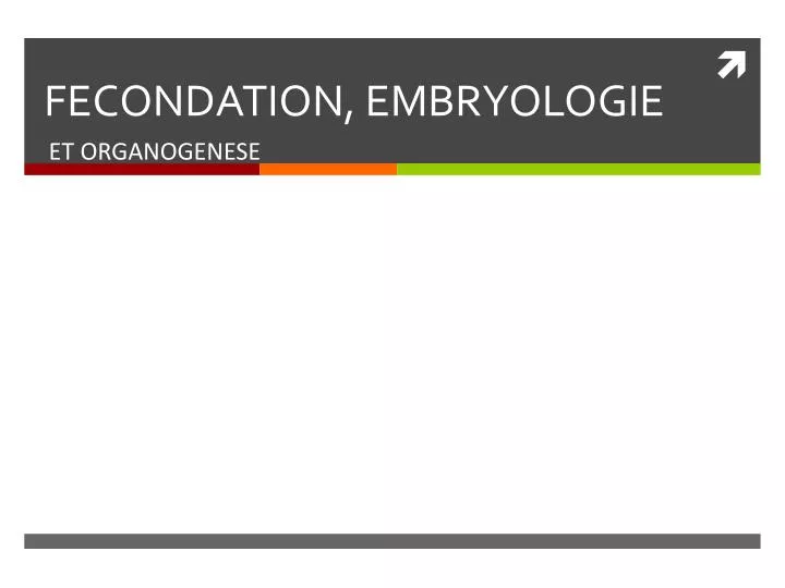 fecondation embryologie