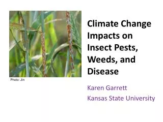 Climate Change Impacts on Insect Pests , Weeds, and Disease
