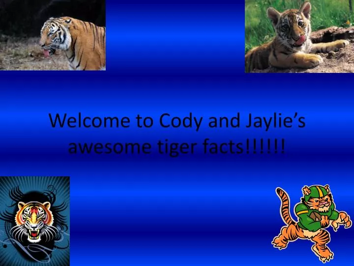 welcome to cody and jaylie s awesome tiger facts