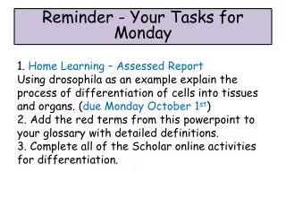 Reminder - Your Tasks for Monday
