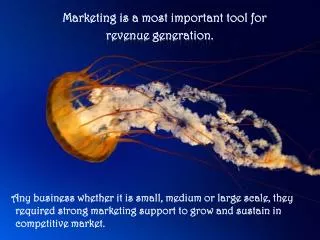 Marketing is a most important tool for revenue generation.