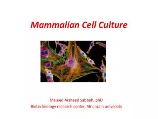 Mammalian Cell Culture