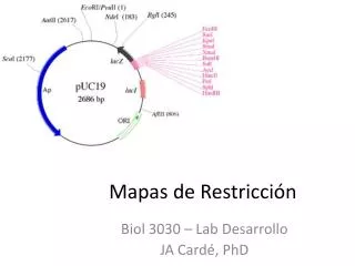 mapas de restricci n