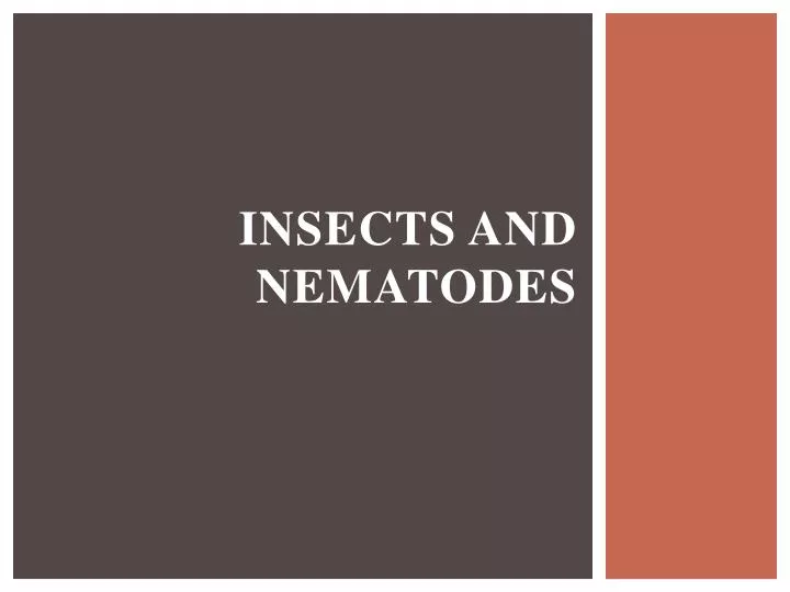 insects and nematodes
