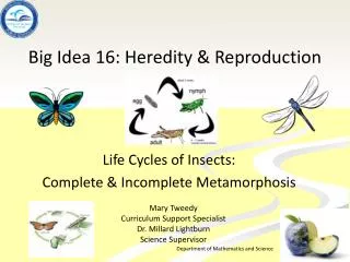 Big Idea 16: Heredity &amp; Reproduction
