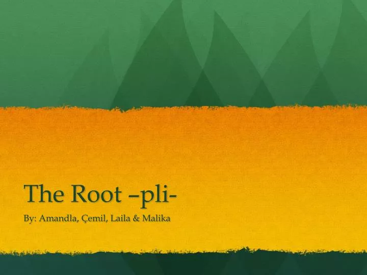 the root pli