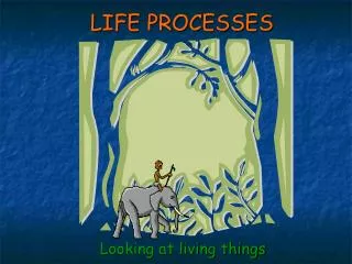 LIFE PROCESSES