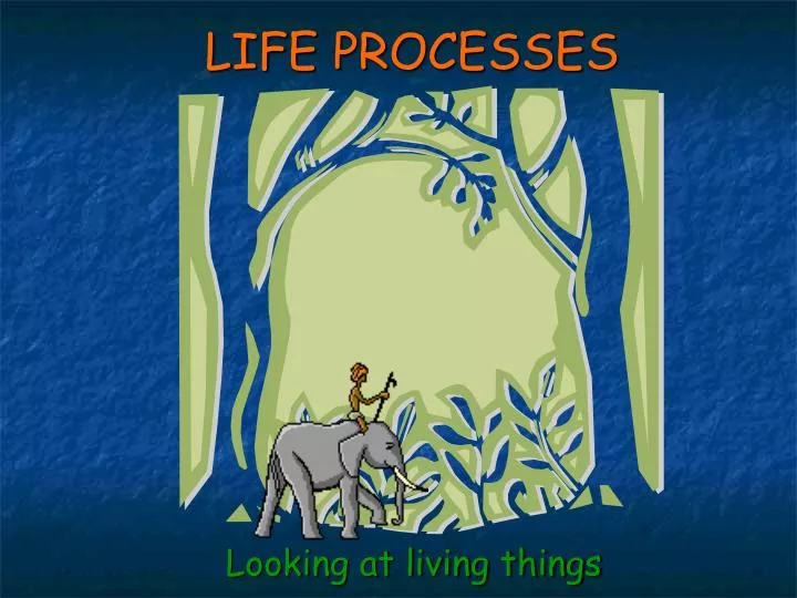 life processes