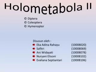 holometabola ll
