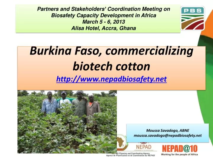 burkina faso commercializing biotech cotton http www nepadbiosafety net