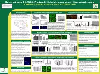 Role of cathepsin D in U18666A-induced cell death in mouse primary hippocampal neurons