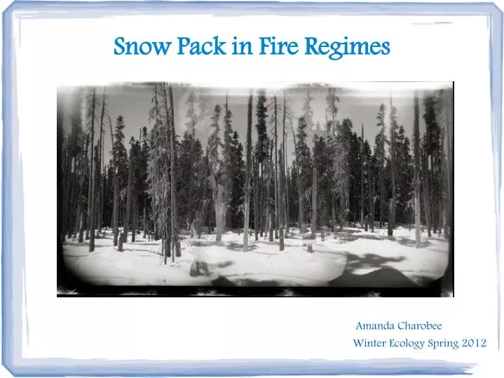 snow pack in fire regimes
