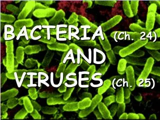 BACTERIA (Ch. 24) AND VIRUSES (Ch. 25)