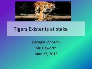Tigers Existents at stake