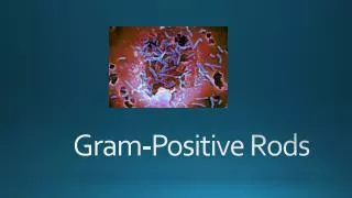 Gram-Positive Rods