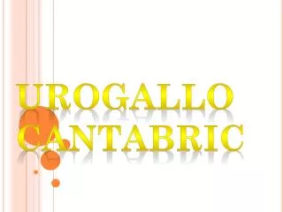 urogallo cantabric