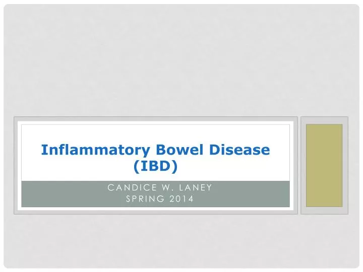inflammatory bowel disease ibd