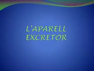 l aparell excretor