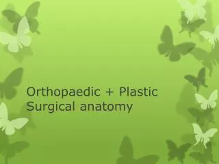 Orthopaedic + Plastic Surgical anatomy