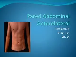 pared abdominal anterolateral